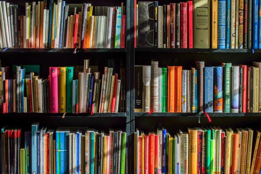 What Are Some Expert Tips for Organizing Books and Magazines?